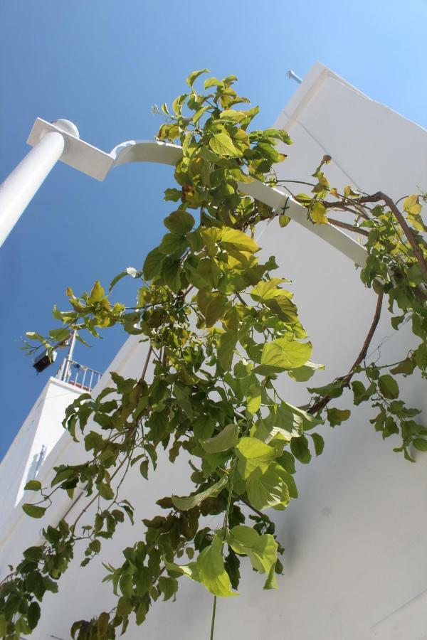 L'Angolo Di Ostuni - Home&Terracex4 Eksteriør billede