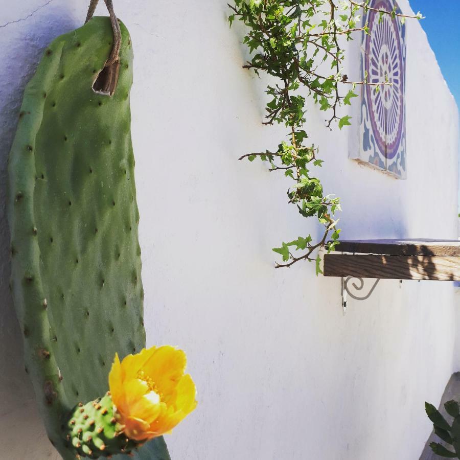 L'Angolo Di Ostuni - Home&Terracex4 Eksteriør billede